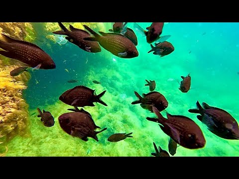 КРЫМ. Лучшие места!  Оленевка, Джангуль, Тарханкут ЧАША ЛЮБВИ. Что будет с сезоном 2023?