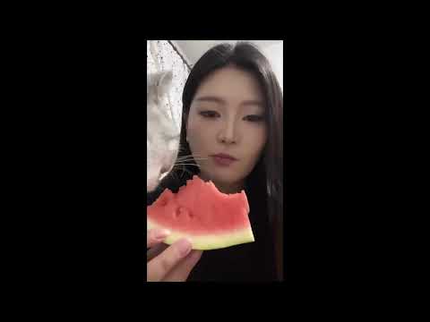 BEST OF THE INTERNET - PART 9