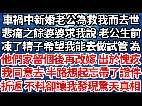 車禍中新婚老公為救我而去世，悲痛之餘婆婆求我說老公生前，凍了精子希望我能去做試管為，他們家留個後再改嫁 出於愧疚，我同意去 半路想起忘帶了證件，折返 不料卻讓我發現驚天真相【倫理】【都市】