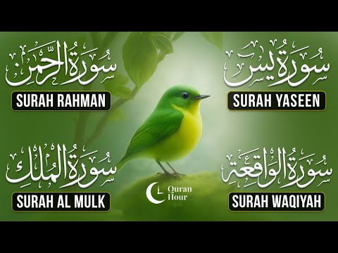 Very Nice Voice Surah Yaseen | Surah Rahman | Surah Waqiah | Surah Mulk l Reciter Ashraf Hussain 002