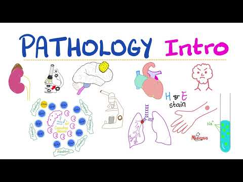 Pathology Intro - Biopsy, Autopsy, Specimen, Cell injury, Apoptosis, Necrosis, Inflammation, Hypoxia