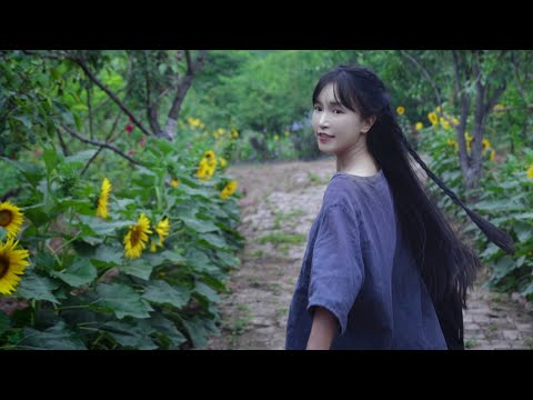 Firewood, rice, oil, salt, soy sauce, vinegar, and tea. One can’t live without salt.丨Liziqi Channel