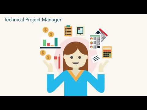 Technical Project Manager