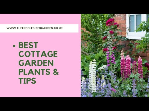 What is cottage garden style - and how to achieve it