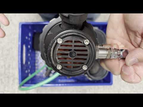 Kiss Sidewinder Component Review