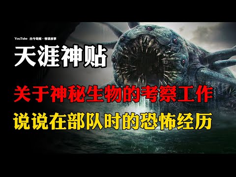 【天涯神贴】关于神秘生物的考察工作，说一些在部队时的诡异经历！| 恐怖故事 | 深夜讲鬼话 | 故事会 | 睡前鬼故事 | 鬼故事 | 民间怪谈 | 诡异经历 | 解压故事 | 冒险