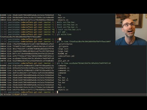 Implementing (parts of) git from scratch in Rust