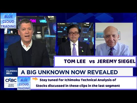 TOM LEE vs JEREMY SIEGEL "A BIG UNKNOWN REVEALED"