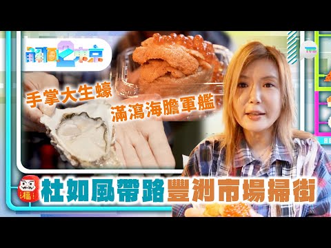 解風東京2｜ 杜如風帶路豐洲市場掃街 大歎手掌大生蠔/滿瀉海膽軍艦  打卡夢幻金魚美術館｜TVB Plus