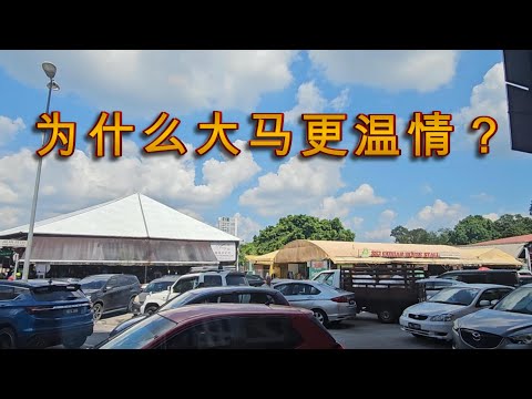 为什么离开中国后，我才第一次觉得“被理解”是一件正常的事？