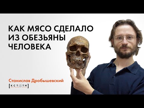 Станислав Дробышевский "Как мясо сделало из обезьяны человека"