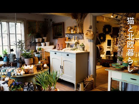 Living in Scandinavia 🌿 A day to shop at a retro and cute general store in a rural town.