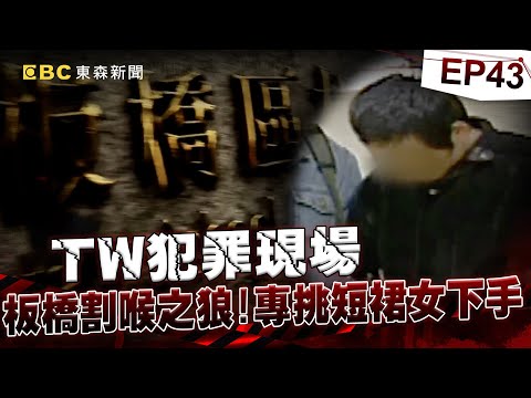 【TW犯罪現場EP43】板橋時髦女「聖誕節前夕」遭割喉殺害！連續犯案2死5傷辯「吸強力膠恍惚」躲重判！？《重案組》20231223｜楊茹涵@newsebc