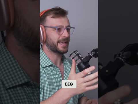 Exploring Seizure Pathways: Insights from EEG Analysis