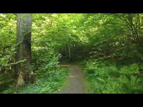 What if your tech lead is a junior?