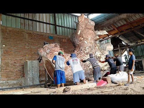 Kayu trembesi buruk rupa !! digergaji bahan meja resin terjual ratusan juta I Sawmill
