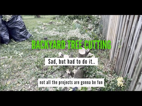 I FAIL at cutting a small tree