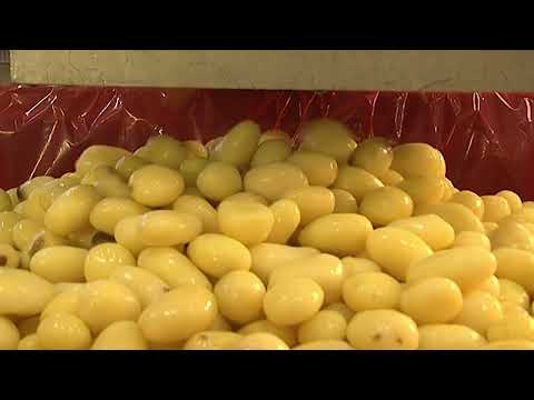 Restaurants : du surgelé dans nos assiettes ?