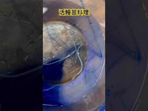 #chef_kzk #味留 #料理中的料理人 #郭宗坤 #熟成魚 #cuisine #阿暈很愛吃 #活鰻苗料理