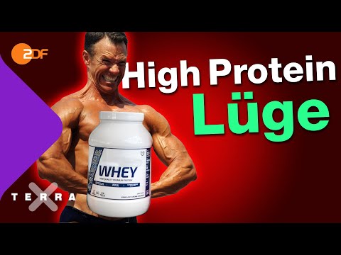 Wie viel Protein braucht unser Körper wirklich? | Terra X plus