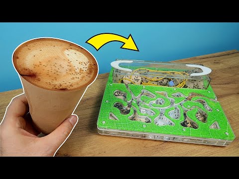 Стакан с Мухами для моих Муравьев! Что случилось с муравьиной канатной дорогой?