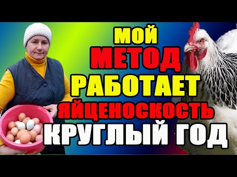 My METHOD works, my chickens lay eggs ALL YEAR ROUND.