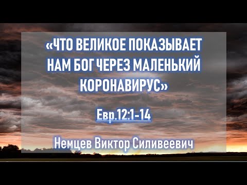 В.С. Немцев: Что великое показывает нам Бог через маленький коронавирус / проповедь (Евр.12,1-14)