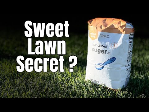 EXPERTS say this makes grass GREEN. DOES SUGAR ON THE LAWN WORK?