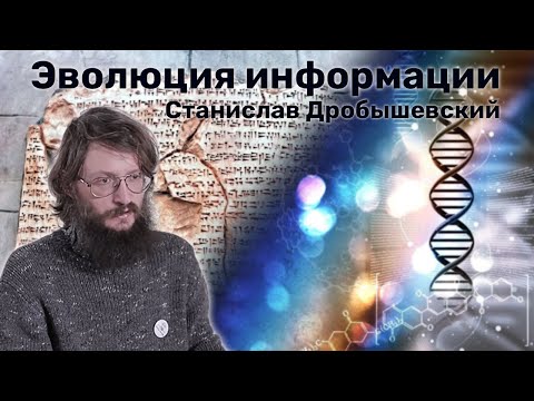 Эволюция информации 💾 Станислав Дробышевский