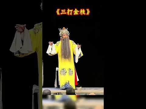 河南豫剧选段 三打金枝