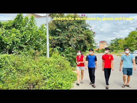 What is the mayor doing when the sidewalk is swallowed by grass and trees?