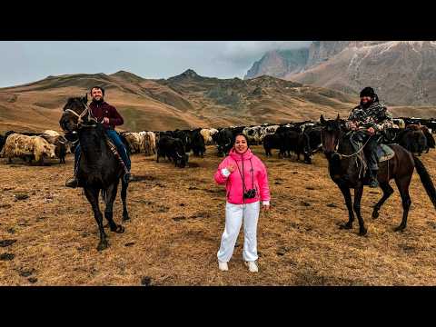КАВКАЗ! Как живут НАСТОЯЩИЕ ЧАБАНЫ в горах? Стадо ЯКОВ! Настоящий ГОРСКИЙ ШАШЛЫК, Хычины