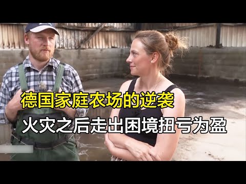 德国夫妻经营家庭农场，四年还掉25万欧元贷款转亏为盈.