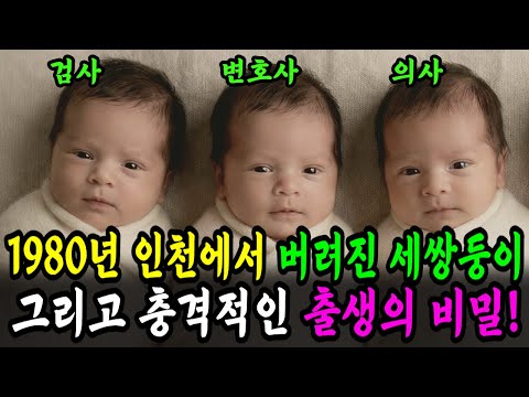 1980년 버려진 세쌍둥이… 44년후 검사,변호사,의사로 법정에서 만났다!ㅣ실제사연ㅣ시니어사연ㅣ재회사연ㅣ오디오북ㅣ감동사연