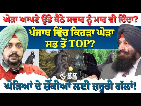 Desi Horses of Punjab! | ਕੀ ਘੋੜਾ ਆਪਣੇ ਸਵਾਰ ਨੂੰ ਮਾਰ ਵੀ ਸਕਦਾ ਹੈ? | ਪੰਜਾਬ ਦਾ ਸਭ ਤੋਂ TOP ਘੋੜਾ ਕਿਹੜਾ?