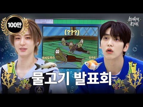 How fish is your favorite? A fish artist who even memorizes sunfish MBTI l TXT Soobin l Faves' faves