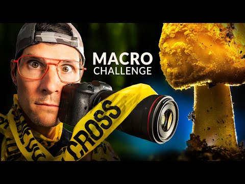 Macro Photography Lighting – Trapped in a Tiny Space