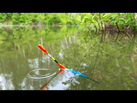 НЕЗАБЫВАЕМАЯ ВЕЧЕРНЯЯ РЫБАЛКА НА ПОПЛАВОЧНУЮ УДОЧКУ