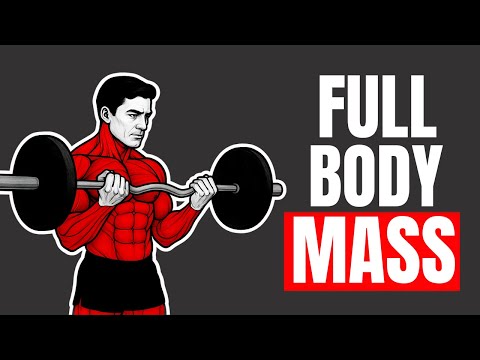 7 Most Effective Exercises for Gaining Muscle after 50