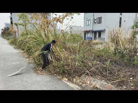 People forgot there was a sidewalk here but were surprised afterwards