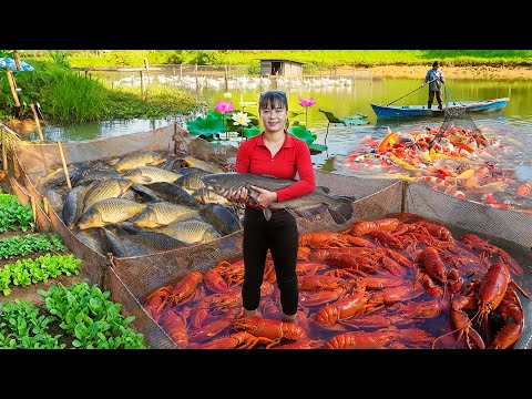 Harvest 1000+ GIANT Fishs, Use Truck Transport Many GIANT Fishs Goes To Market Sell