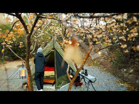 Camping in a small tent on a cold autumn night 🍂🔥 ·Camping ASMR ·Camping