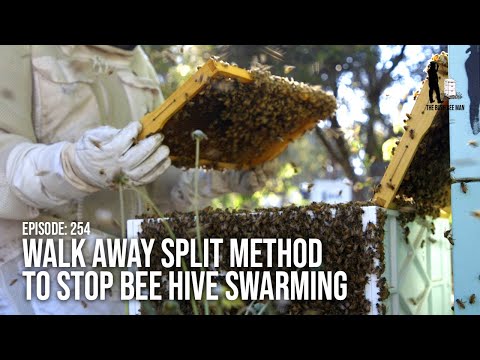 Splitting Beehives using the Walk Away Split Method to Stop Bee Hive Swarming  | The Bush Bee Man