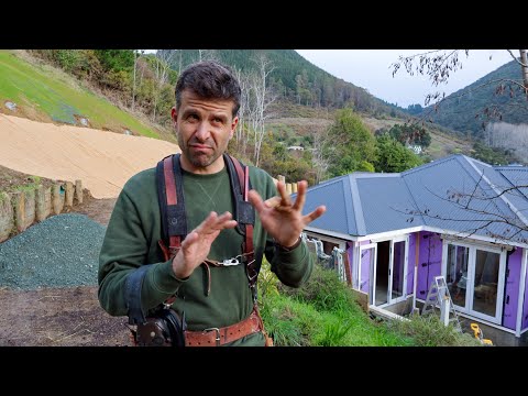 Why the Timber is Pink