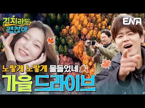 노랗게 노랗게 물들었네~🍂🍁 콧노래 절로 나오는 길치 가족의 가을 드라이브! #길치라도괜찮아 EP.8