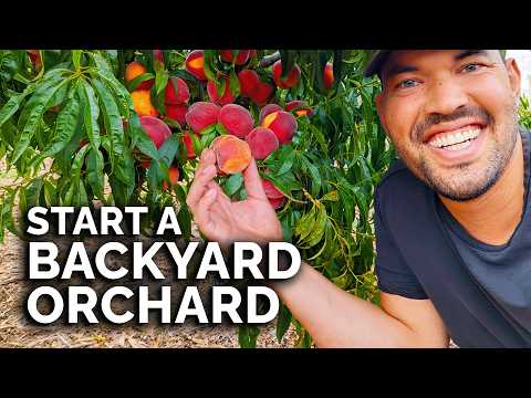How to Start a Backyard Orchard (COMPLETE GUIDE)