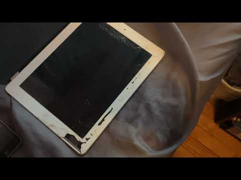 Apple Collection as of Early-2026 | Roberto Lima 2