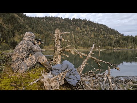 Hunting Bears and Catching King Salmon from Homer, Alaska