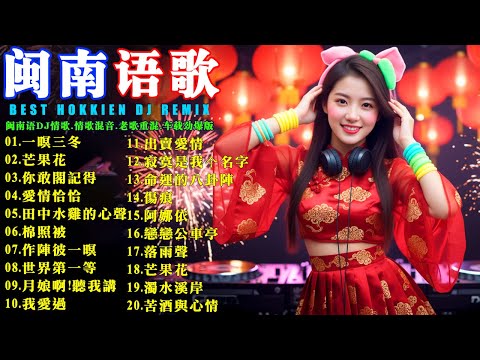 闽南语DJRemix『一暝三冬』『芒果花』『你敢閣記得』『愛情恰恰』『田中水雞的心聲』『棉照被』Hokkien Sad Love Mix｜Best Hokkien DJ Remix 2026｜情歌串烧