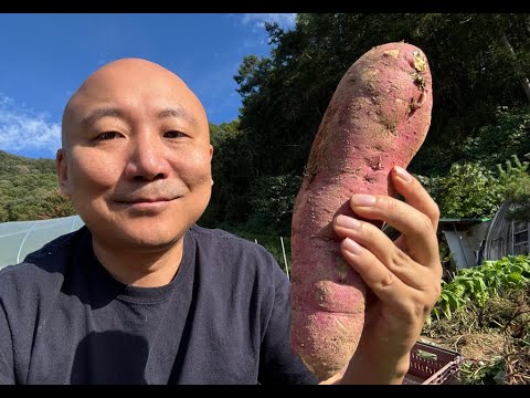 October 7, 2024 Chat (Weekend Farm Stories)